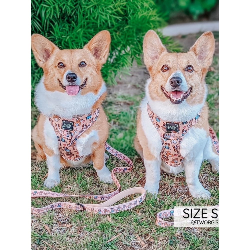 Sassy Woof Corgilicious Medium Dog Harness - Picture 6 of 16